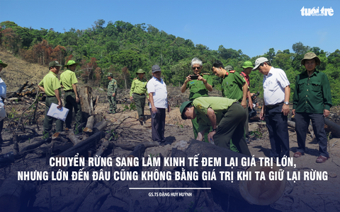 Thiên nhiên là nơi cứu sống mình - Ảnh 5. Thiên nhiên là nơi cứu sống mình - Ảnh 5.