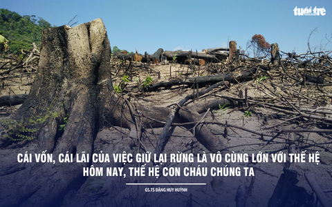 Thiên nhiên là nơi cứu sống mình - Ảnh 8. Thiên nhiên là nơi cứu sống mình - Ảnh 8.