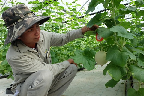 Học thật cao để về làm nông thật giỏi - Ảnh 1. Học thật cao để về làm nông thật giỏi - Ảnh 1.
