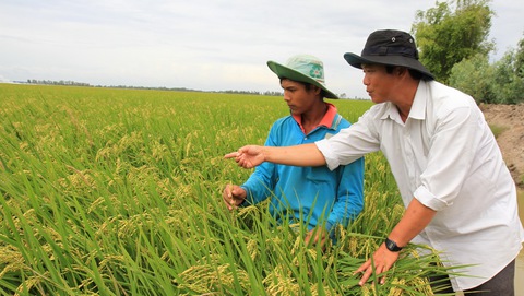 Phải thay đổi để vực dậy đồng bằng sông Cửu Long - Ảnh 1. Phải thay đổi để vực dậy đồng bằng sông Cửu Long - Ảnh 1.