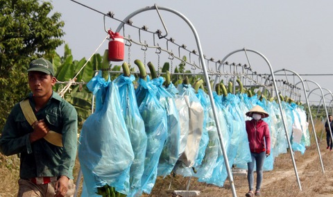Phó thủ tướng Vương Đình Huệ: Nguồn lực từ chính đồng bằng - Ảnh 1. Phó thủ tướng Vương Đình Huệ: Nguồn lực từ chính đồng bằng - Ảnh 1.