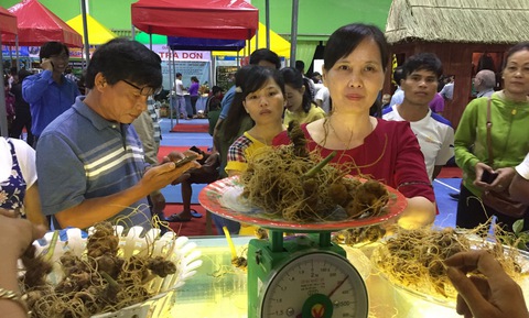 Thú vị ở phiên chợ sâm Ngọc Linh - Ảnh 2. Thú vị ở phiên chợ sâm Ngọc Linh - Ảnh 2.