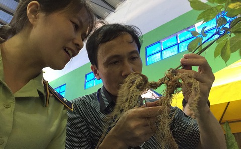 Thú vị ở phiên chợ sâm Ngọc Linh - Ảnh 4. Thú vị ở phiên chợ sâm Ngọc Linh - Ảnh 4.