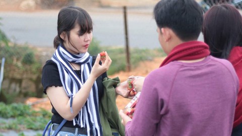 Đừng vội ăn trái cây tại vườn - Ảnh 1. Đừng vội ăn trái cây tại vườn - Ảnh 1.