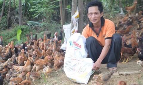 Biến đồi trọc thành nông trại 2 trong 1 - Ảnh 1. Biến đồi trọc thành nông trại 2 trong 1 - Ảnh 1.
