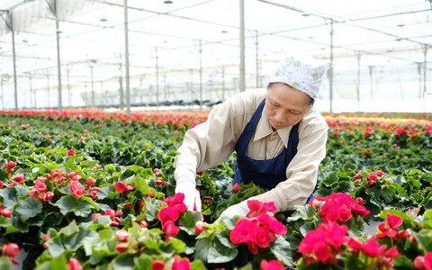 Xuất khẩu quả - rau - hoa hướng tới mục tiêu 10 tỉ USD/năm - Ảnh 1. Xuất khẩu quả - rau - hoa hướng tới mục tiêu 10 tỉ USD/năm - Ảnh 1.