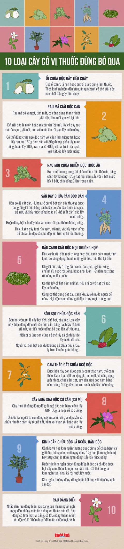 10 cây giải độc tuyệt vời - Ảnh 1. 10 cây giải độc tuyệt vời - Ảnh 1.