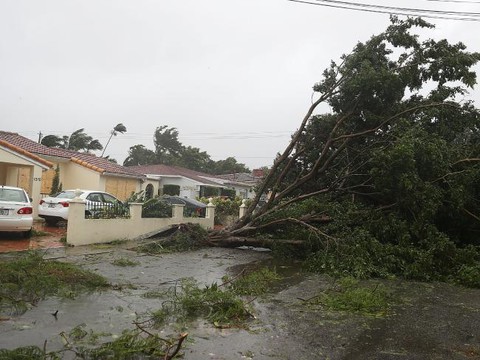 Sinh con tại nhà vì bác sĩ bị kẹt bão Irma - Ảnh 1. Sinh con tại nhà vì bác sĩ bị kẹt bão Irma - Ảnh 1.