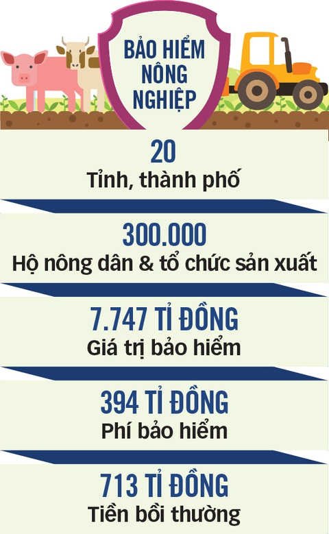 Vì đâu cả lúc trắng tay nông dân vẫn ngán bảo hiểm? - Ảnh 3. Vì đâu cả lúc trắng tay nông dân vẫn ngán bảo hiểm? - Ảnh 3.
