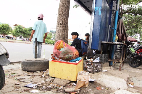 Những bồn cây xanh khốn khổ - Ảnh 7. Những bồn cây xanh khốn khổ - Ảnh 7.