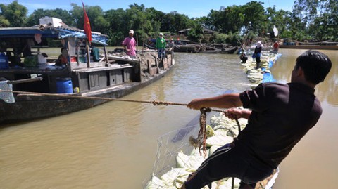 Tháo đập ngăn mặn sông Vĩnh Điện, dân Hội An mất nước sinh hoạt - Ảnh 1. Tháo đập ngăn mặn sông Vĩnh Điện, dân Hội An mất nước sinh hoạt - Ảnh 1.