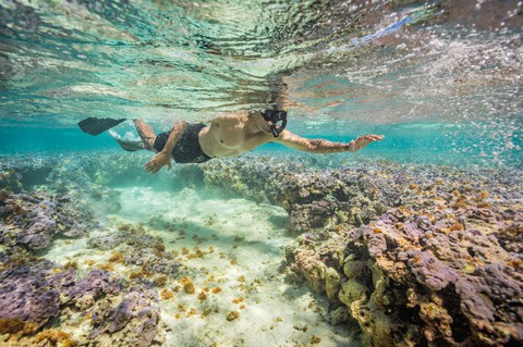 Những bức ảnh xuất sắc nhất của NatGeo năm 2017 - Ảnh 4. Những bức ảnh xuất sắc nhất của NatGeo năm 2017 - Ảnh 4.