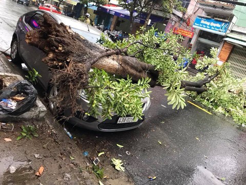 Đà Nẵng lên kịch bản ứng phó bão, lũ xảy ra trong APEC - Ảnh 1. Đà Nẵng lên kịch bản ứng phó bão, lũ xảy ra trong APEC - Ảnh 1.