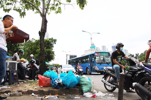 Những bồn cây xanh khốn khổ - Ảnh 3. Những bồn cây xanh khốn khổ - Ảnh 3.