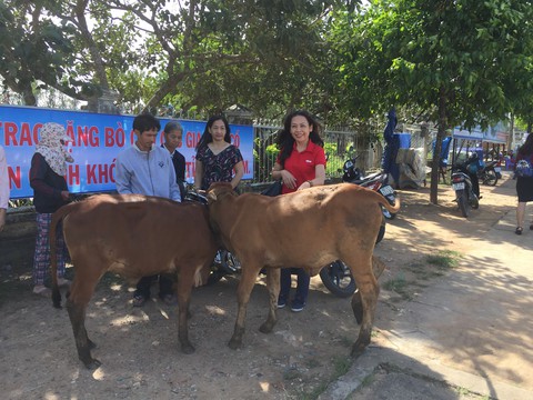 Tặng 15 bò giống cho các gia đình khó khăn ở Kon Tum - Ảnh 2. Tặng 15 bò giống cho các gia đình khó khăn ở Kon Tum - Ảnh 2.