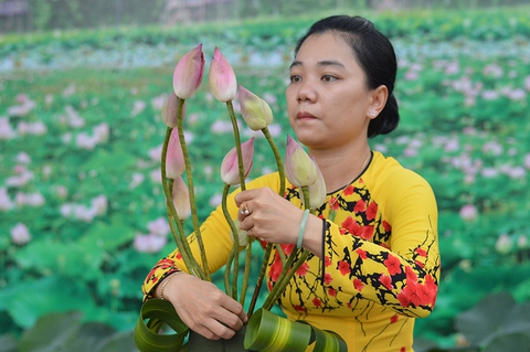 Khi hoa sen có riêng một ngày hội... - Ảnh 3. Khi hoa sen có riêng một ngày hội... - Ảnh 3.