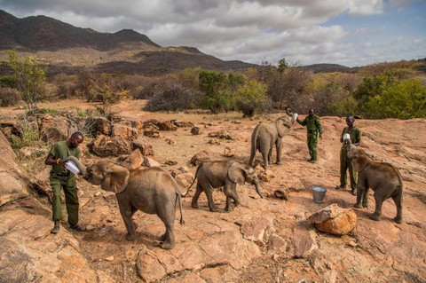 Những bức ảnh xuất sắc nhất của NatGeo năm 2017 - Ảnh 6. Những bức ảnh xuất sắc nhất của NatGeo năm 2017 - Ảnh 6.