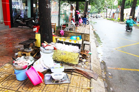Những bồn cây xanh khốn khổ - Ảnh 4. Những bồn cây xanh khốn khổ - Ảnh 4.