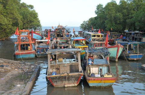 Tiền Giang còn gần 800 tàu đánh bắt xa bờ đang trên biển - Ảnh 2. Tiền Giang còn gần 800 tàu đánh bắt xa bờ đang trên biển - Ảnh 2.