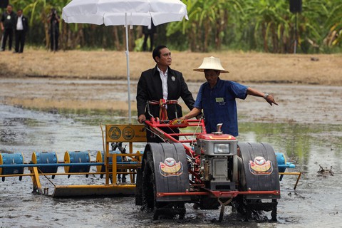 Thái Lan cải cách kinh tế bằng tiền tươi thóc thật - Ảnh 1. Thái Lan cải cách kinh tế bằng tiền tươi thóc thật - Ảnh 1.