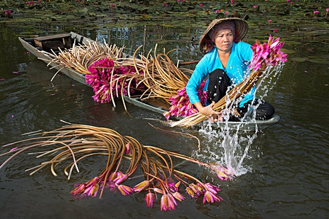 Bài dự thi: Sa Pa có một mùa vàng - Ảnh 6. Bài dự thi: Sa Pa có một mùa vàng - Ảnh 6.