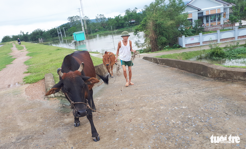 Nước sông Lam dâng nhanh, dân hối hả chạy lụt - Ảnh 10. Nước sông Lam dâng nhanh, dân hối hả chạy lụt - Ảnh 10.