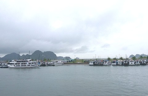 Chìm tàu du lịch trong bến cảng Tuần Châu - Ảnh 1. Chìm tàu du lịch trong bến cảng Tuần Châu - Ảnh 1.