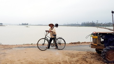Mưa lụt khác thường, hàng ngàn hecta lúa mới sạ bị ngập - Ảnh 1. Mưa lụt khác thường, hàng ngàn hecta lúa mới sạ bị ngập - Ảnh 1.