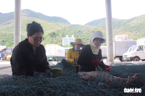 Gác nỗi buồn, ngư dân Khánh Hòa hối hả ra khơi - Ảnh 9. Gác nỗi buồn, ngư dân Khánh Hòa hối hả ra khơi - Ảnh 9.