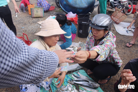 Gác nỗi buồn, ngư dân Khánh Hòa hối hả ra khơi - Ảnh 5. Gác nỗi buồn, ngư dân Khánh Hòa hối hả ra khơi - Ảnh 5.