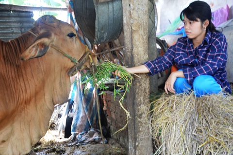 Cửa đại học đã mở với cô học trò mồ côi - Ảnh 1. Cửa đại học đã mở với cô học trò mồ côi - Ảnh 1.