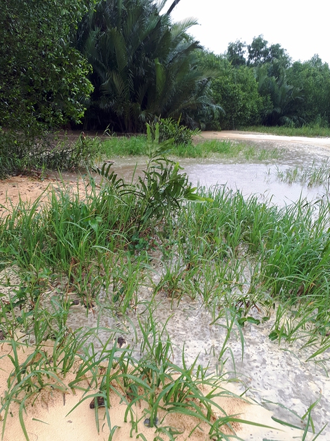 Nghi tràn nước thải từ bãi rác Đa Phước, dân phản ứng - Ảnh 8. Nghi tràn nước thải từ bãi rác Đa Phước, dân phản ứng - Ảnh 8.