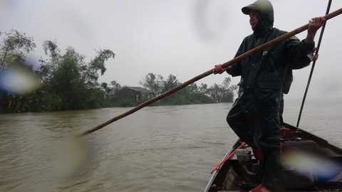 Hàng trăm tấn cá nuôi lồng trên sông Bồ chết trắng do lũ - Ảnh 3. Hàng trăm tấn cá nuôi lồng trên sông Bồ chết trắng do lũ - Ảnh 3.