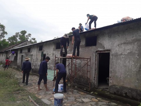 Cưỡng chế tàu cá, đưa vào nơi trú ẩn an toàn - Ảnh 1. Cưỡng chế tàu cá, đưa vào nơi trú ẩn an toàn - Ảnh 1.