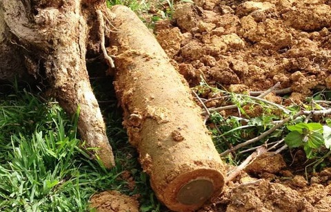 Tá hỏa phát hiện bom khủng khi đào móng nhà - Ảnh 1. Tá hỏa phát hiện bom khủng khi đào móng nhà - Ảnh 1.