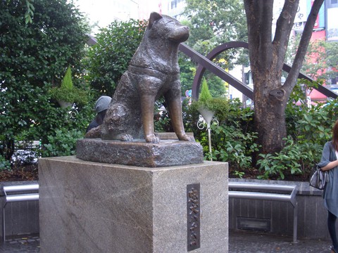 Shinjuku, Shibuya, Harajuku: những điểm không thể bỏ qua khi đến Tokyo - Ảnh 14. Shinjuku, Shibuya, Harajuku: những điểm không thể bỏ qua khi đến Tokyo - Ảnh 14.