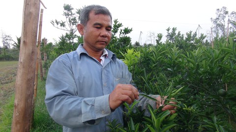 PHẠM TỘI TỪ VIỆC PHÁ VƯỜN CÂY, RUỘNG LÚA - Ảnh 2. PHẠM TỘI TỪ VIỆC PHÁ VƯỜN CÂY, RUỘNG LÚA - Ảnh 2.