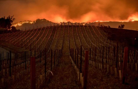 4 ngày chìm trong biển lửa của California - Ảnh 7. 4 ngày chìm trong biển lửa của California - Ảnh 7.