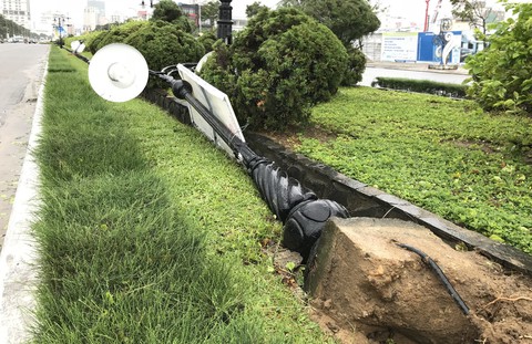 Đà Nẵng chạy đua dọn dẹp đường phố sau bão - Ảnh 4. Đà Nẵng chạy đua dọn dẹp đường phố sau bão - Ảnh 4.