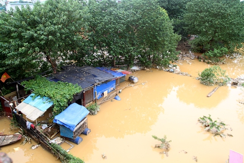 Nước lũ nhấn chìm nhà cửa, vườn tược vùng bãi sông Hồng - Ảnh 1. Nước lũ nhấn chìm nhà cửa, vườn tược vùng bãi sông Hồng - Ảnh 1.