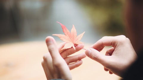 Hồ Trung Dũng: Lợi thế của thất tình là viết nhạc nhiều kinh khủng - Ảnh 5. Hồ Trung Dũng: Lợi thế của thất tình là viết nhạc nhiều kinh khủng - Ảnh 5.