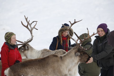 Theo chân ‘bạn đồng hành cùng ông già Noel ở Scotland - Ảnh 5. Theo chân ‘bạn đồng hành cùng ông già Noel ở Scotland - Ảnh 5.