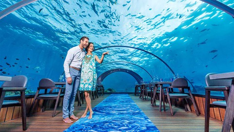 Ăn ngon tại nhà hàng dưới nước lớn nhất thế giới - Ảnh 5. Ăn ngon tại nhà hàng dưới nước lớn nhất thế giới - Ảnh 5.