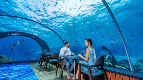 Ăn ngon tại nhà hàng dưới nước lớn nhất thế giới - Ảnh 1. Ăn ngon tại nhà hàng dưới nước lớn nhất thế giới - Ảnh 1.