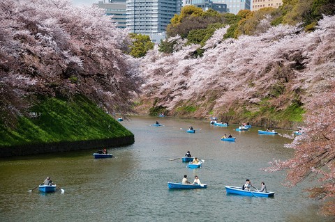 Đi đại thành phố Tokyo chơi gì, ăn gì, mua gì? - Ảnh 14. Đi đại thành phố Tokyo chơi gì, ăn gì, mua gì? - Ảnh 14.
