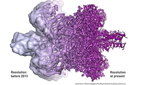 Công trình đoạt Nobel Hóa học giúp mục sở thị virus Zika - Ảnh 3. Công trình đoạt Nobel Hóa học giúp mục sở thị virus Zika - Ảnh 3.