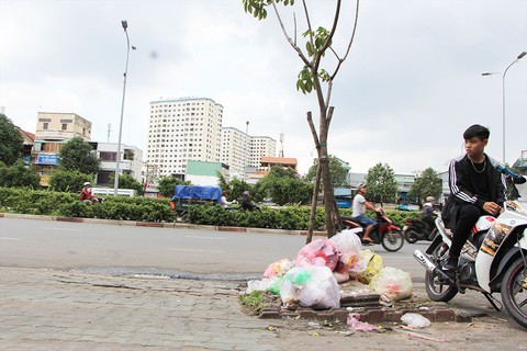 Những bồn cây xanh khốn khổ - Ảnh 5. Những bồn cây xanh khốn khổ - Ảnh 5.