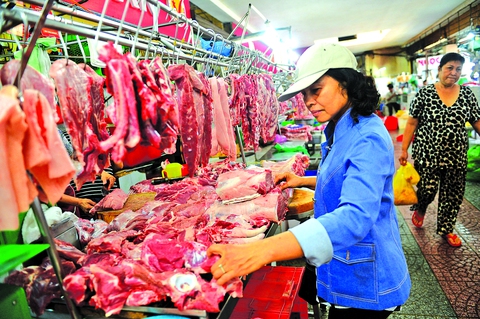 Nháo nhào vì 5.000 con heo bị tiêm chất an thần - Ảnh 3. Nháo nhào vì 5.000 con heo bị tiêm chất an thần - Ảnh 3.
