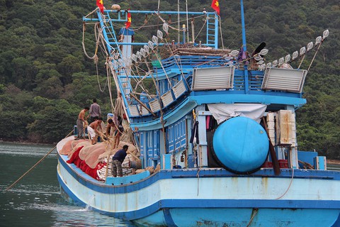 Côn Đảo: Hụ còi đưa dân tới nơi trú ẩn - Ảnh 5. Côn Đảo: Hụ còi đưa dân tới nơi trú ẩn - Ảnh 5.