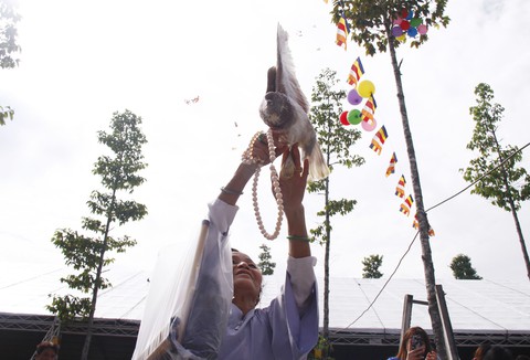 Hàng ngàn người cầu siêu cho nạn nhân tai nạn giao thông - Ảnh 6. Hàng ngàn người cầu siêu cho nạn nhân tai nạn giao thông - Ảnh 6.